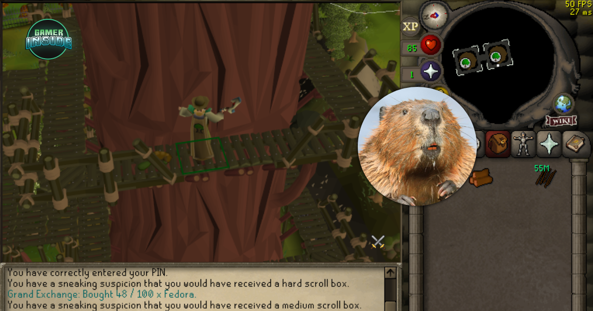 ผู้เล่น RuneScape ใช้เวลากว่า 2 ปีสะสมสัตว์เลี้ยงหายากที่มีโอกาสดรอปแค่ 0.001%