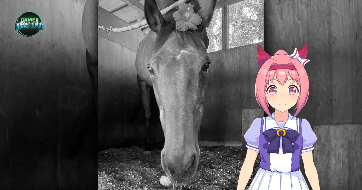 สิ้นลมแล้ว Urara ม้าขวัญใจคนไม่ยอมแพ้และชายเกมสาวม้าลาโลกแล้วขณะมีอายุได้ 29 ปี