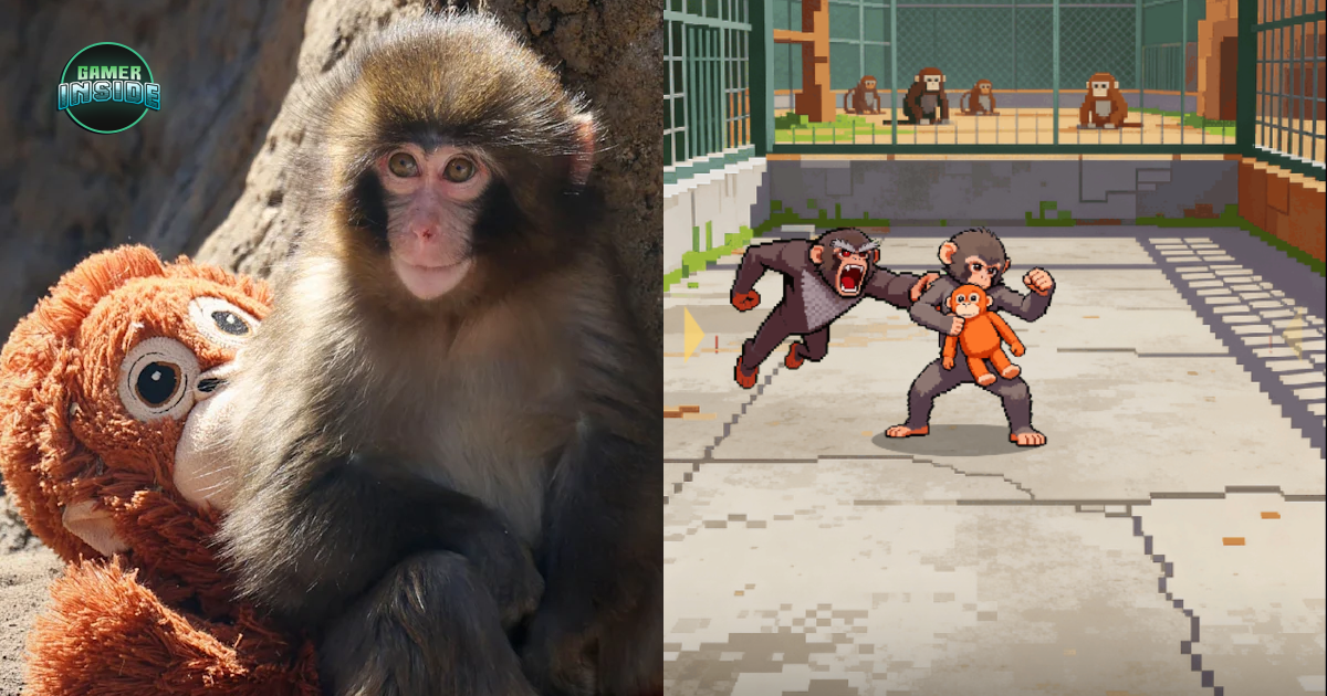 ได้เวลาช่วยน้อง! ลิงน้อย 'Punch' ถูกนำมาสร้างเป็นเกม 'Zoo Fighter' ให้ผู้เล่นช่วยต่อสู้กับลิงอันธพาล
