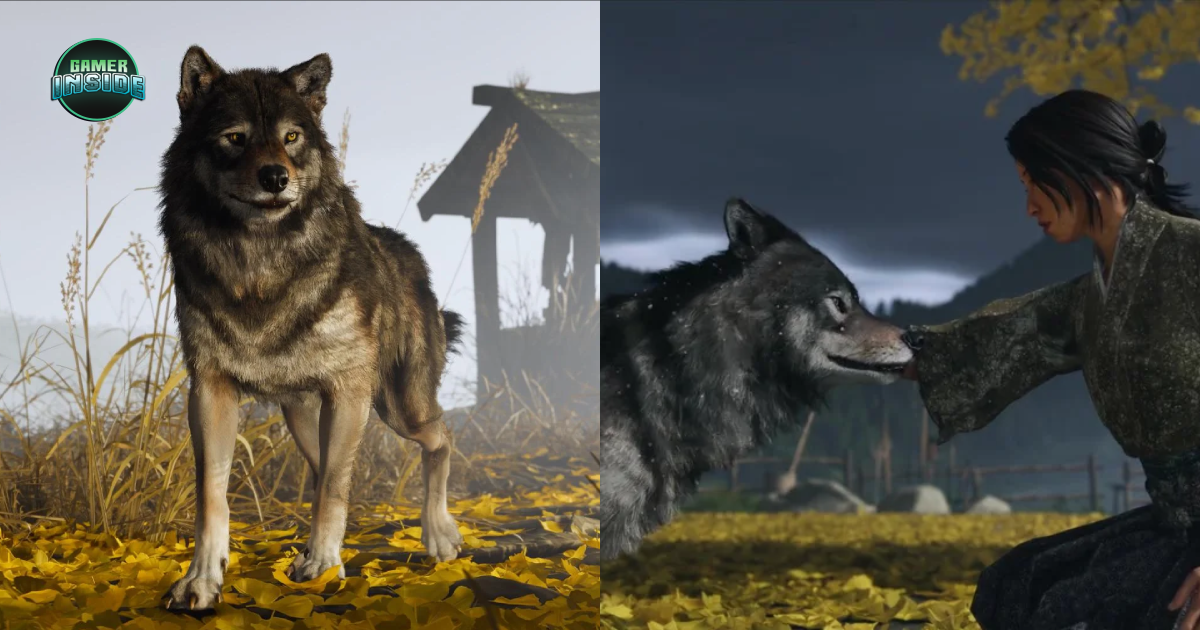 เผยเบื้องหลังฉากลูบหัวหมาป่าใน Ghost of Yotei แท้จริงแล้วคือนักแสดงที่กำลังลูบหัวทีมผู้สร้างอยู่