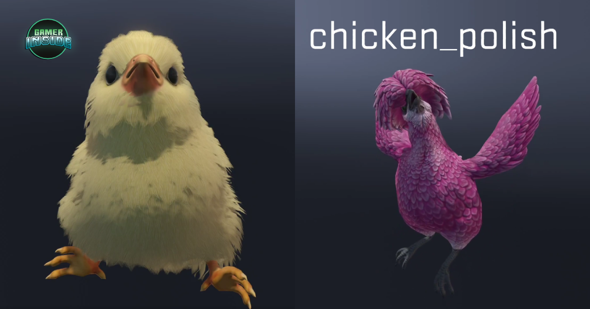 เซอร์ไพรส์! Valve แอบปล่อยระบบเลี้ยงสัตว์ลงเกม CS2 ให้ผู้เล่นดูแลไก่เพื่อปลด Skin กว่า 35 แบบ