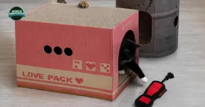 Konami บุกงาน CatCon 2026 เตรียมวางจำหน่ายกล่องซ่อนตัว Metal Gear Solid เวอร์ชันของเล่นแมว